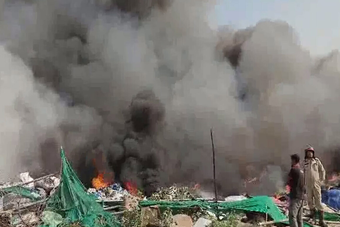 Fire breaks out in Majlis Park forest area in Delhi