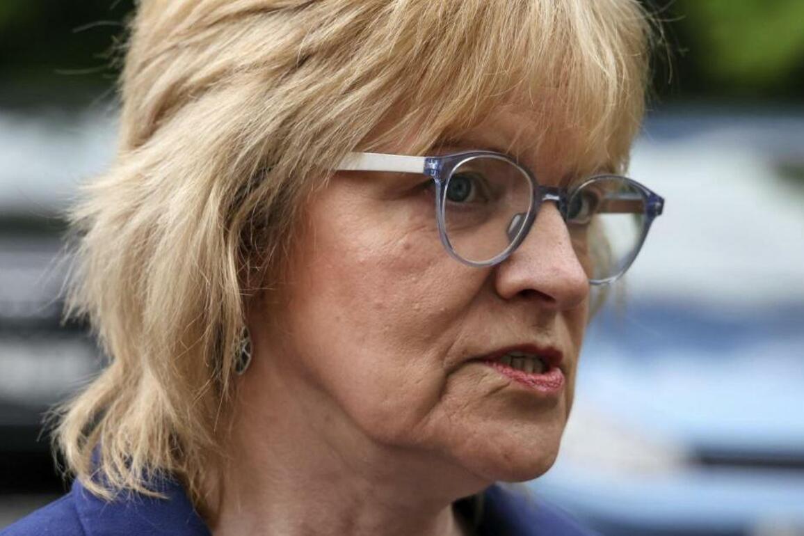 Vice-Chair hits out at 'verbal abuse' over immigration motion