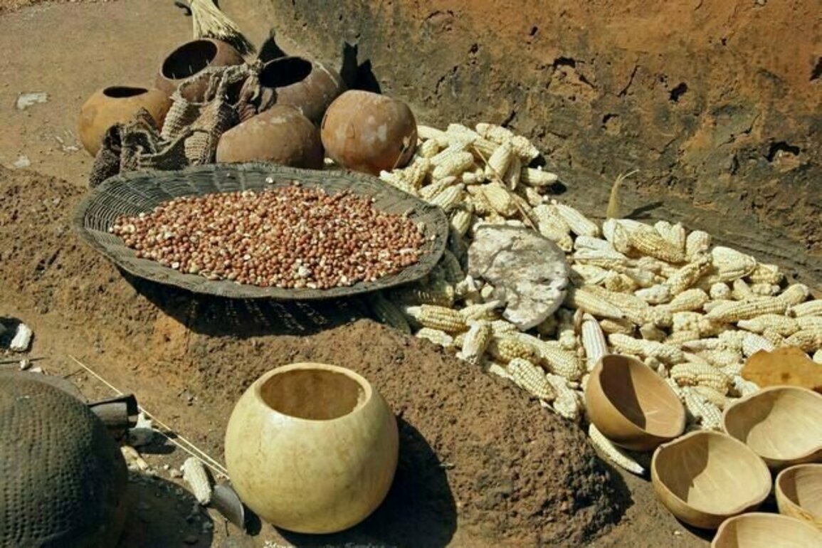Africa's traditional fermented foods - and why we should keep consuming them