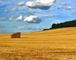 Renewables industry warns 'Clean Energy Cash Back' scheme must be more ambitious