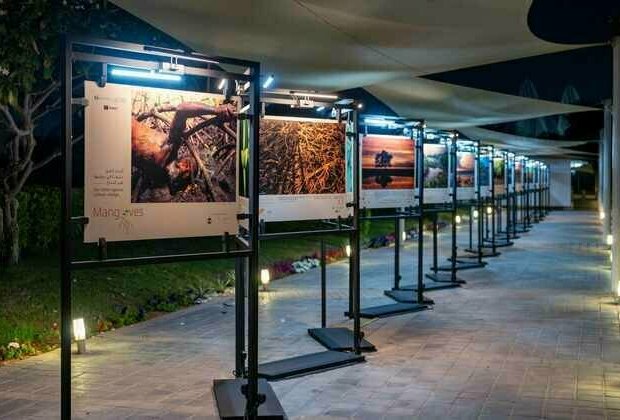 EAD organises international mangrove photography exhibition