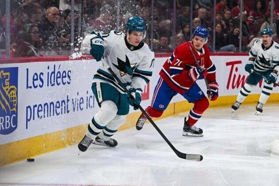 Macklin Celebrini, Sharks cool off Canadiens