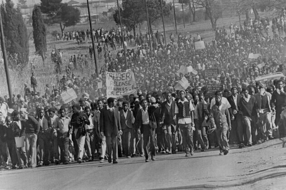 What is apartheid? New book for young readers explains South Africa's racist system