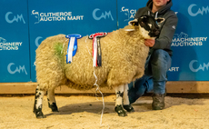 Derbyshire Gritstones sell to 750gns at Clitheroe auction mart