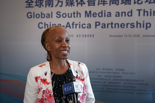 SOUTH AFRICA-JOHANNESBURG-AFRICAN UNION OFFICIAL-INTERVIEW