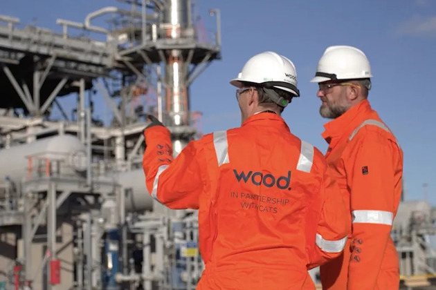 Wood fate may be sealed, GDP set to be positive  Daily Business