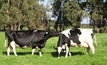 Dairy Australia cuts expenditure, increases farm support