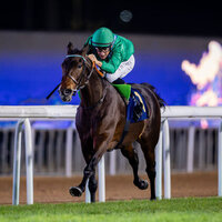 Abu Dhabi Turf Club hosts 33rd UAE President Cup for Arabian Purebred Horses tomorrow