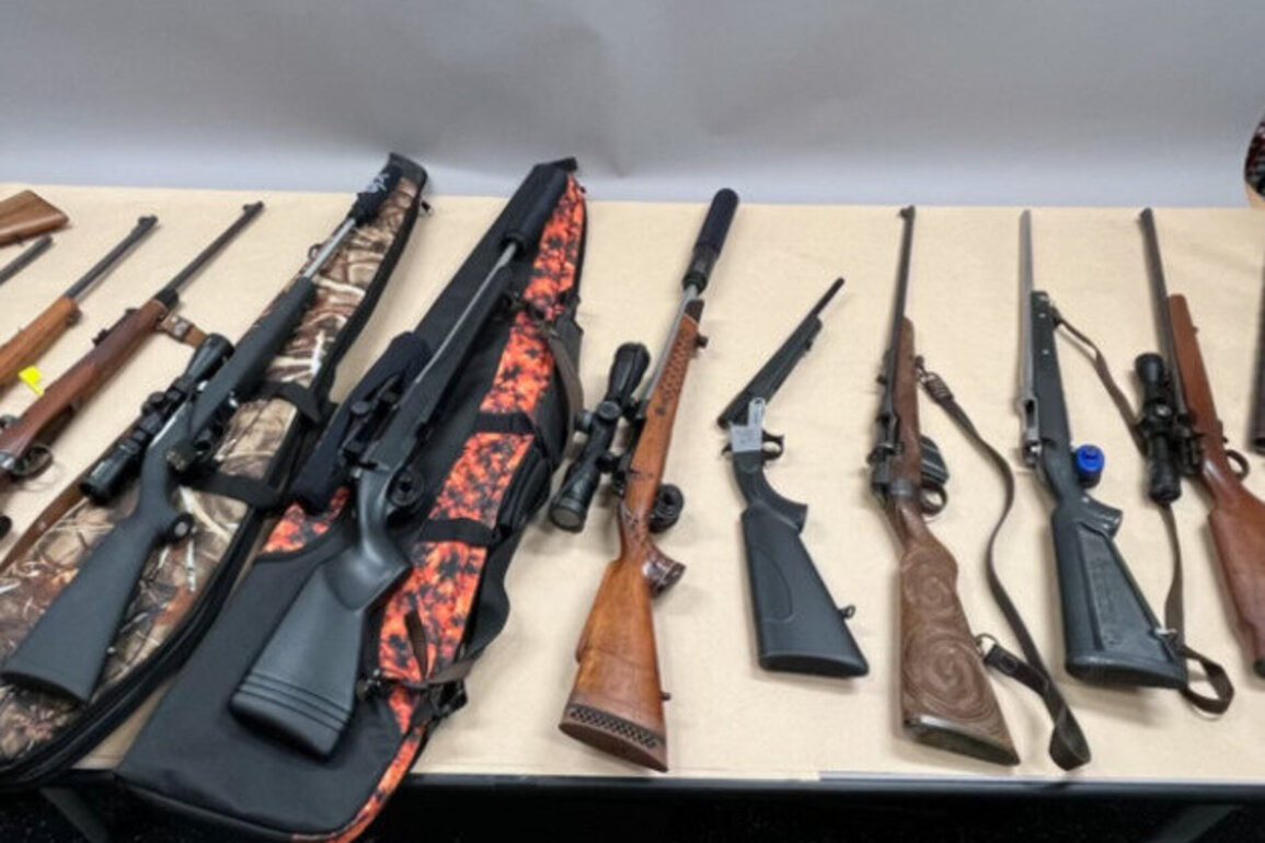 Arrests and illicit firearms seized in transnational action