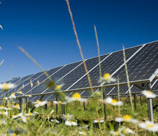 Downing unveils plans for 750MW solar and battery project in Lincolnshire