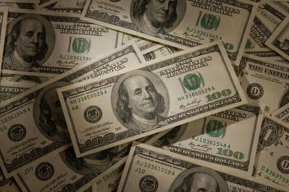 US dollar's global role at risk - German regulator