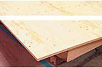B&Q goes FSC with plywood