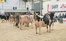 UK Dairy Day makes welcome return after two-year absence