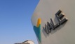  Vale reports second setback for Viga