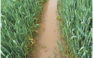 Benefits of sensor technologies for water management on farm