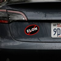 Tesla owners support company, not its CEO Elon Musk