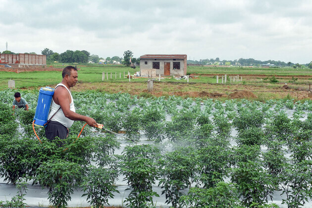 India to unlock Southeast Asia's USD 90 billion AgriTech growth potential: Study