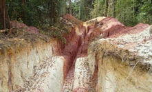  Gold X Mining's Toroparu project in Guyana