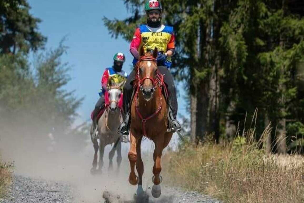 UAE claims individual, team titles at FEI Endurance World Championship for Young Horses 2025 in France