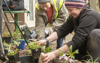 'Nextdoor Nature': £5m Wildlife Trusts project reaches more than 1,600 UK communities