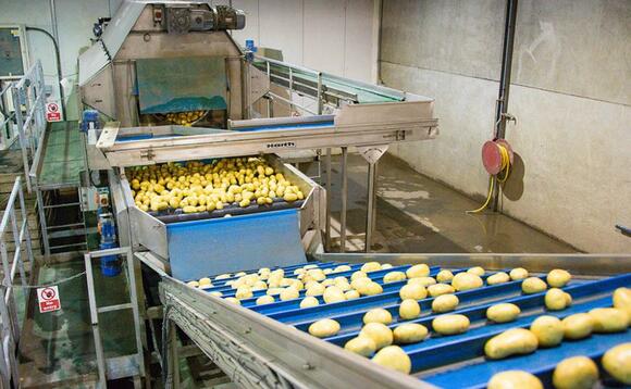 Potato growers facing increasing competition at home and abroad