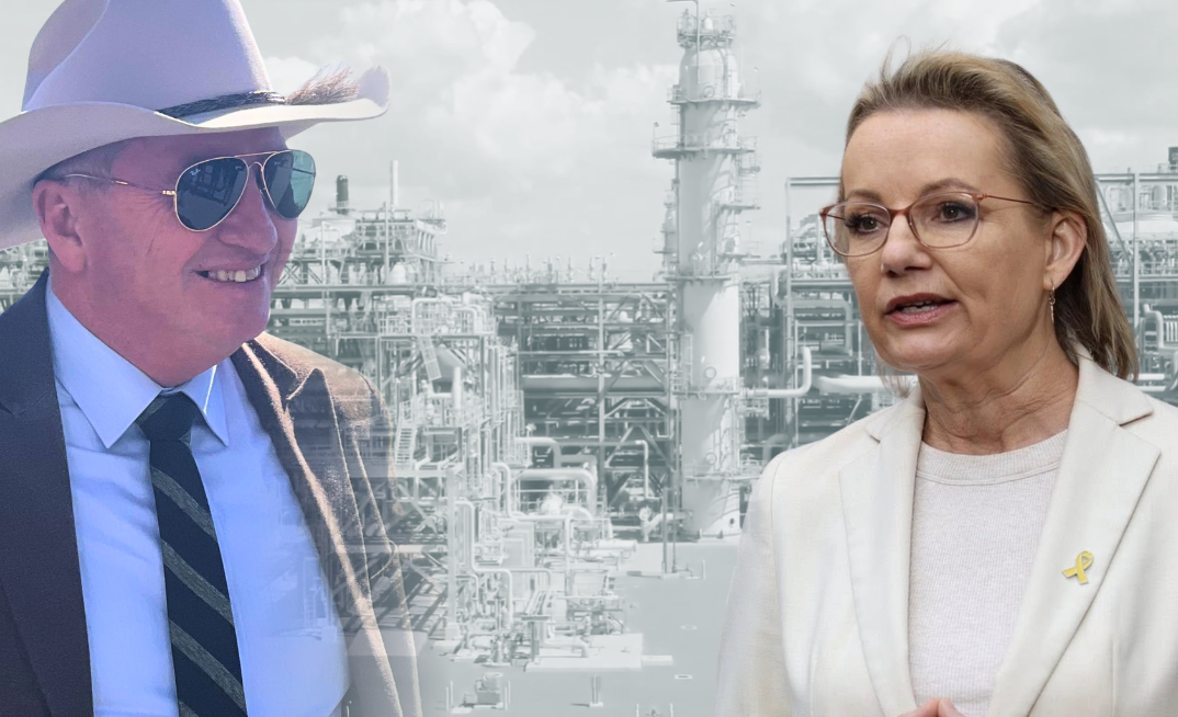 Barnaby Joyce is causing party leader Sussan Ley a headache