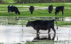 NRW 'inaction' sees farmland flooded annually