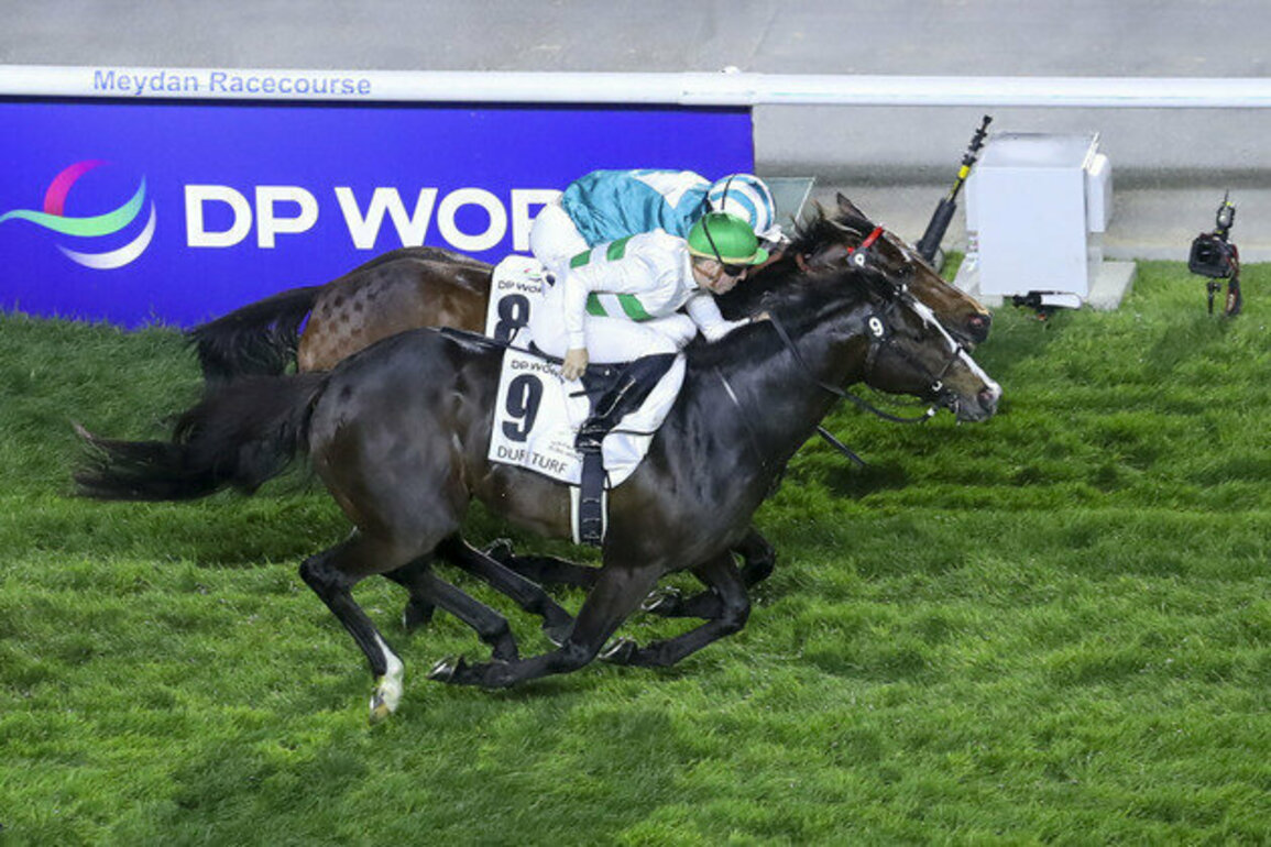 Dubai World Cup 2025: Soul Rush champion of 7th Round Dubai Turf
