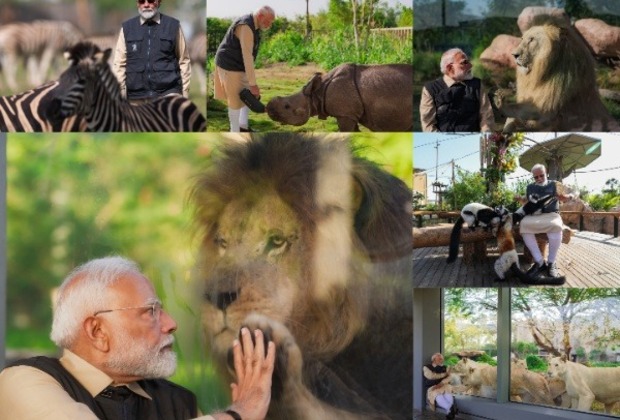 Vantara wildlife centre vibrant example of centuries-old ethos to protect those we share planet with: PM Modi