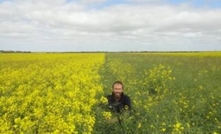 WA canola trials underway