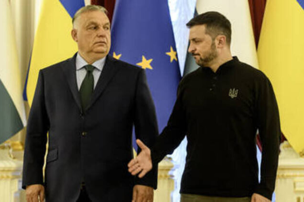EU membership for Ukraine would mean war - Orban
