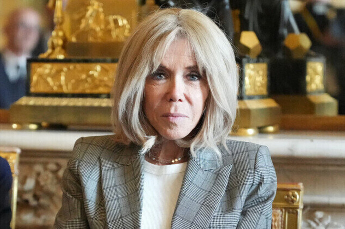One jailed as ten convicted of cyber-harassing Macrons wife  Le Monde