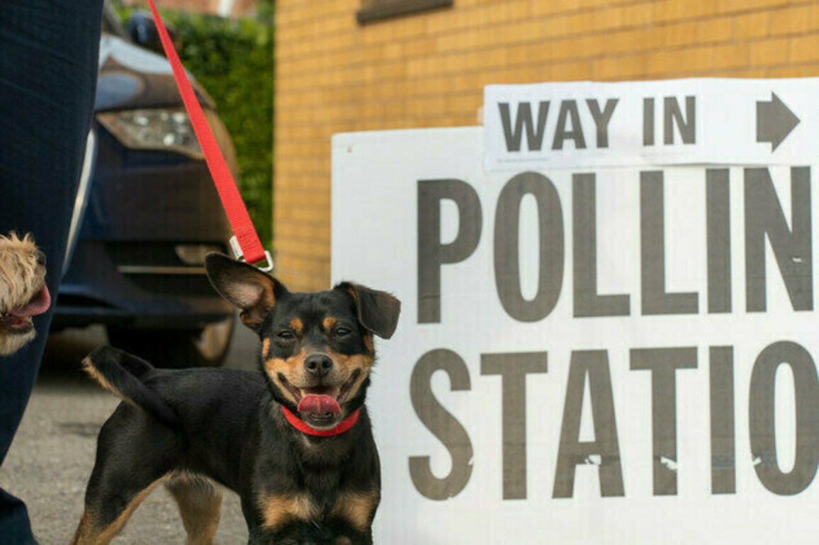 US woman charged with registering dog to vote in elections
