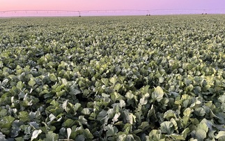 McCain launches new 'Farm of the Future' testbed in North Yorkshire