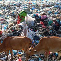 INDONESIA-LHOKSEUMAWE-LANDFILL-WORLD ENVIRONMENT DAY