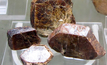 Rare earth element ore samples