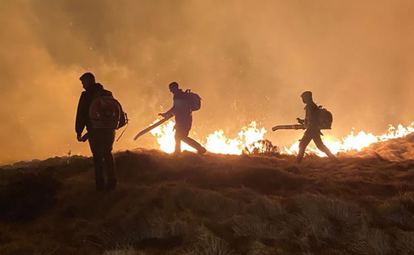 Farmers warn destocking sheep from uplands is leading to 'increased' wildfire risks