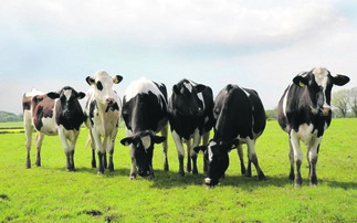 Unions hail start of dairy contracts