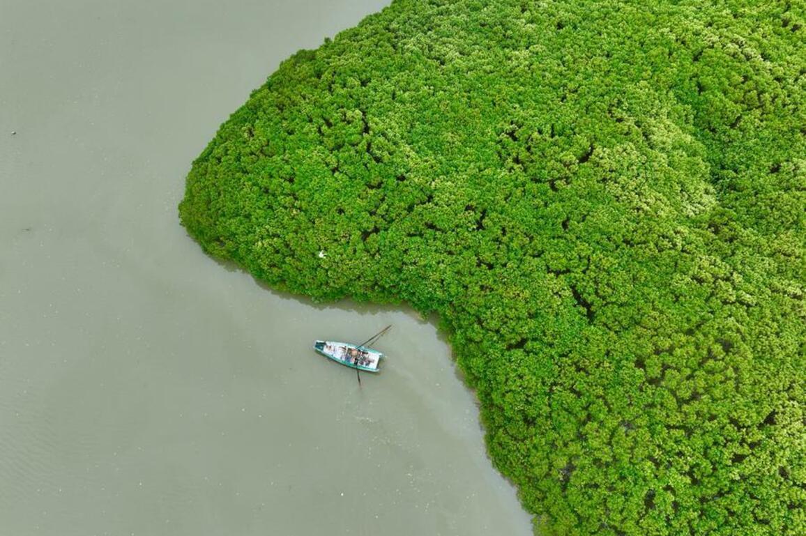 Interview: China increasingly significant in global biodiversity conservation, says British plant charity