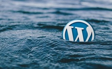 WordPress admins urged to patch critical security bug
