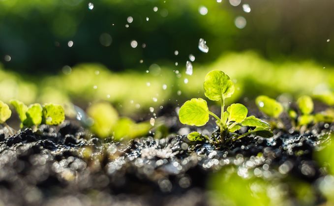 A £1.1million fund to encourage farmers to collaborate on drought resilience measures has been launched A £1.1million fund to encourage farmers to collaborate on drought resilience measures has been launched