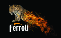 Major investment returns restructured Ferroli to full strength