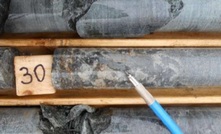  Core from Canadian Palladium Resources’ East Bull project in Ontario