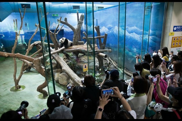 Xinhua Photos of the Day (July 7)