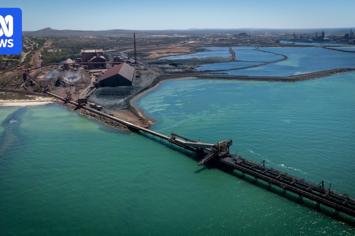 GFG puts Whyalla port company into administration after government intervention