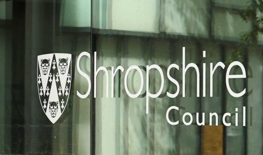 © Carol Tyers/Shutterstock