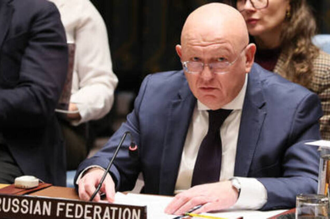 Kiev regime supplying terrorists in Africa - Russia's UN envoy