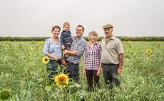 NSA Sheep South West Preview: Devonshire family prepare to host South West sheep event