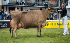 Jersey reigns dairy supreme at Royal Welsh Show