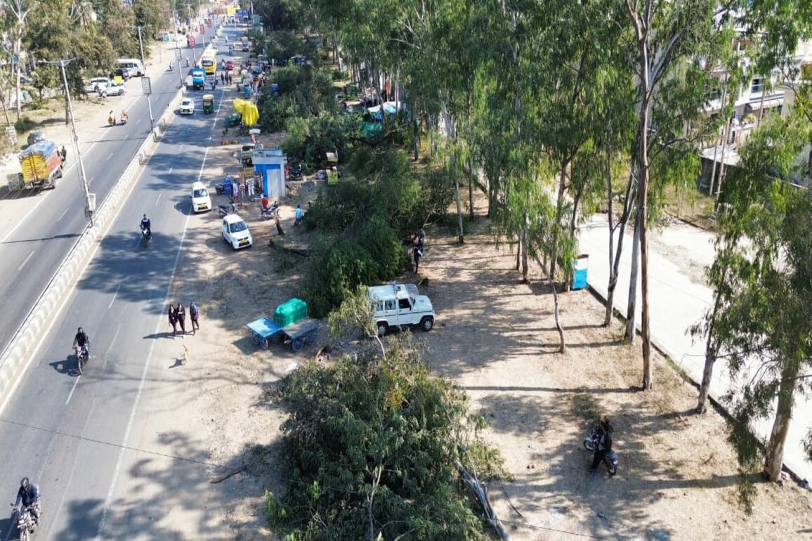 NGT orders halt on tree felling after massive tree cutting for Bhopal's Ayodhya bypass road project